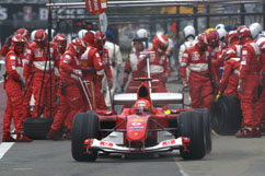 Shummy at his pitstop