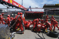 Shummy at his pitstop