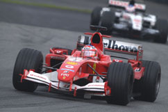 Rubens w&auml;hrend des Rennens